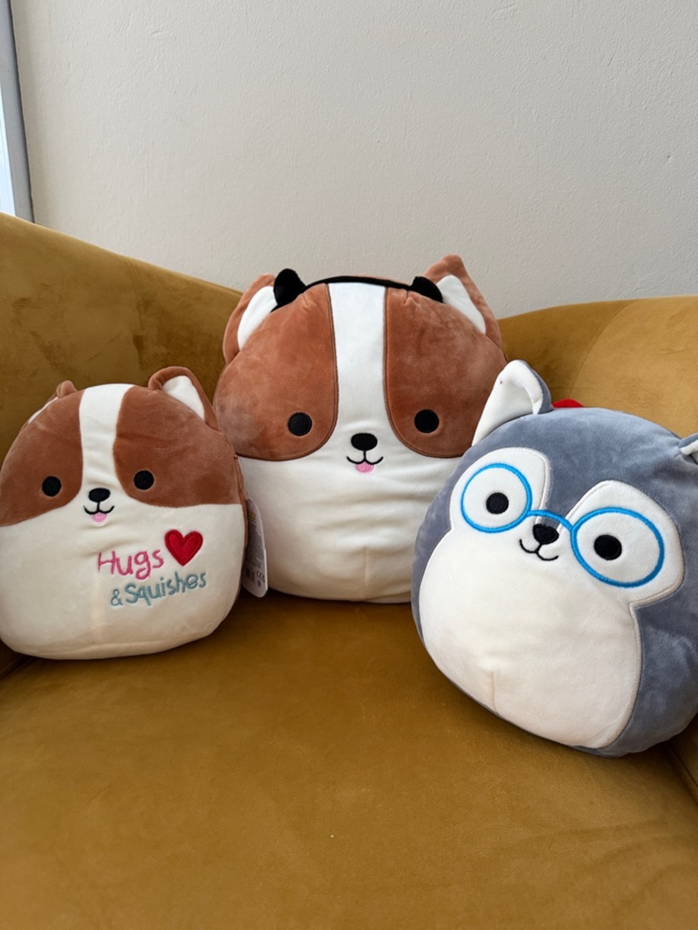 Squishmallow Dog Family 3
